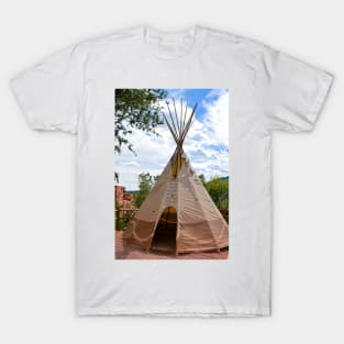 Manitou Cliff Dwellings Study 5 T-Shirt